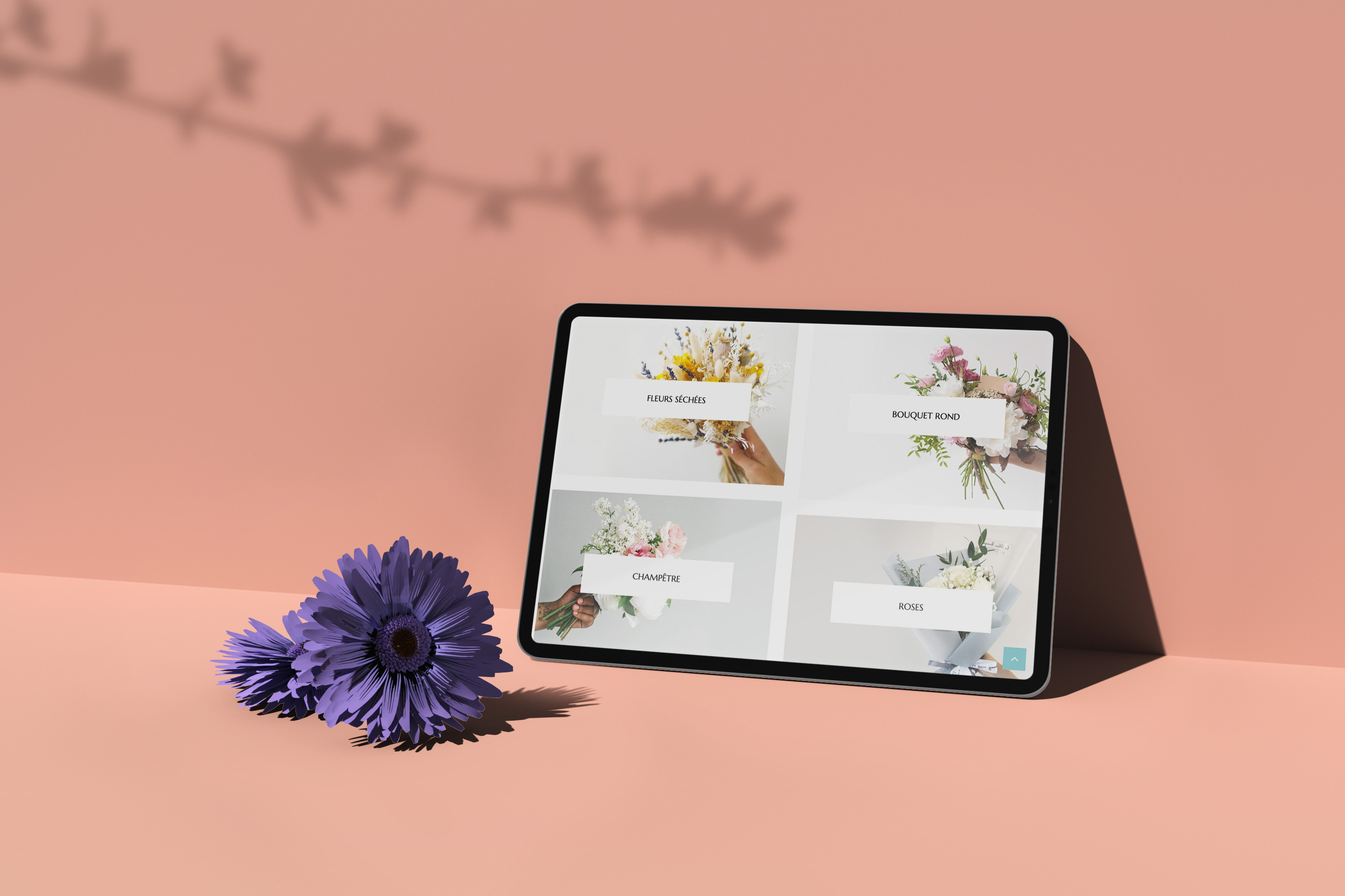 L'Arbre Bleu - Vue d'ensemble du site