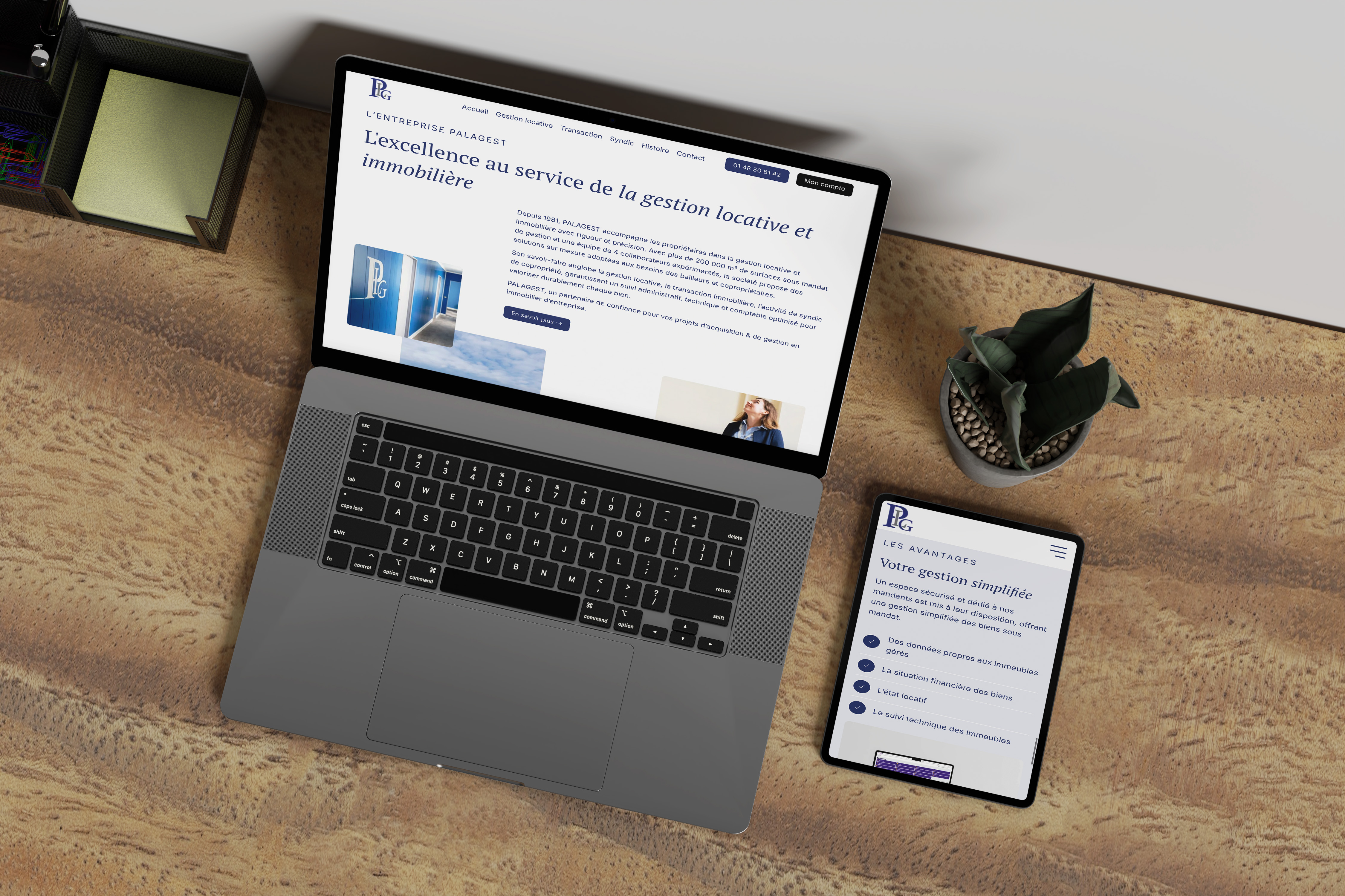 Palagest - Vue d'ensemble du site